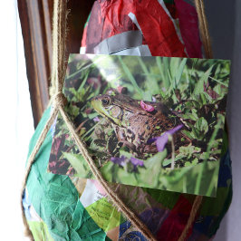 Toad-Liebe Postkarte