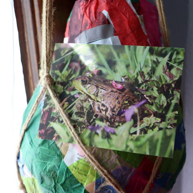 Toad-Liebe Postkarte (Von Creator hochgeladen)