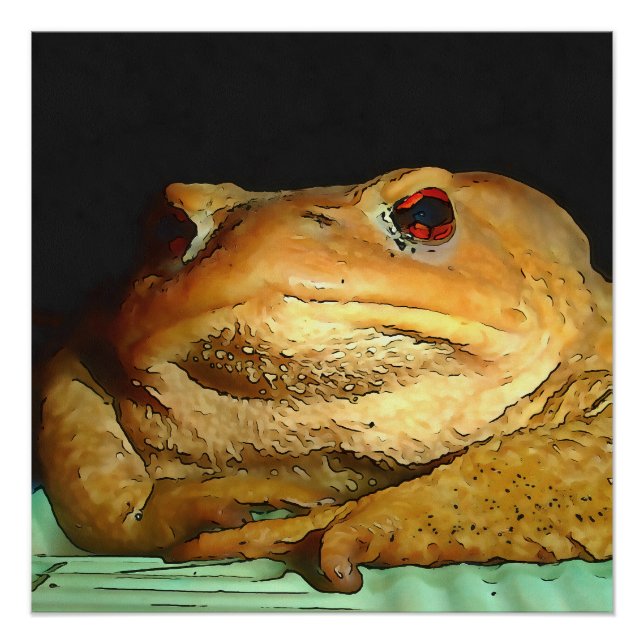 Toad mit philosophischer Disposition Malerei Poster (Vorderseite)
