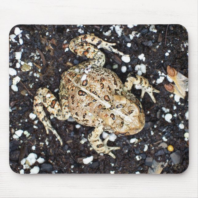 Toad Mousepad (Vorne)