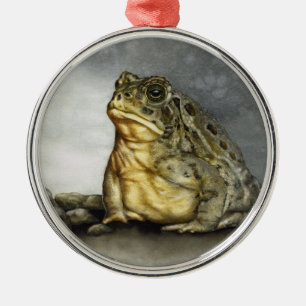 Toad-Ornament Silbernes Ornament