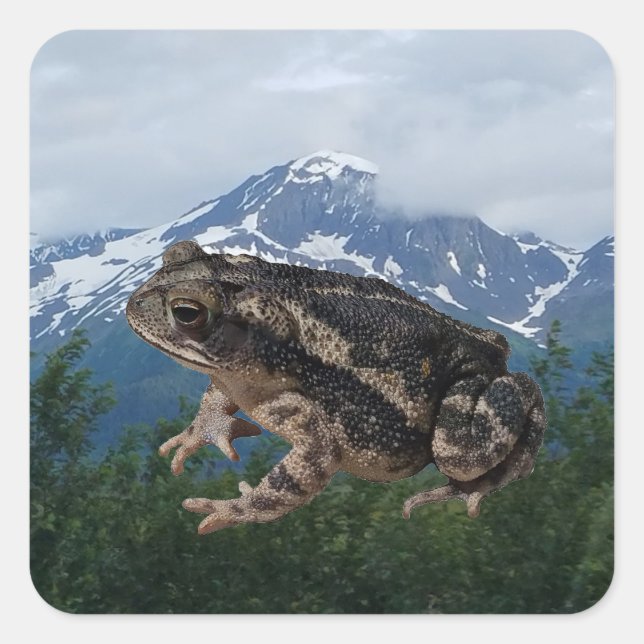 Toad Quadratischer Aufkleber (Vorderseite)