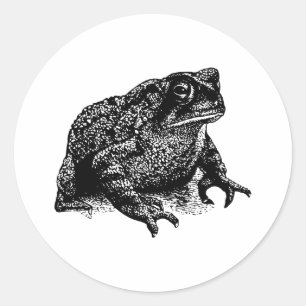 Toad Runder Aufkleber