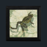 Toad Swinning im Wasser Erinnerungskiste<br><div class="desc">Vision Studio verwendet in diesem Kunstwerk die giclée (Französisch für "Spray") Technik. Es ist einzigartig,  und die verschiedenen Grüntöne unterstreichen die Ruhe auf diesem Bild. Wählen Sie dieses Kunstwerk für Ihr nächstes Zazzle-Produkt.</div>
