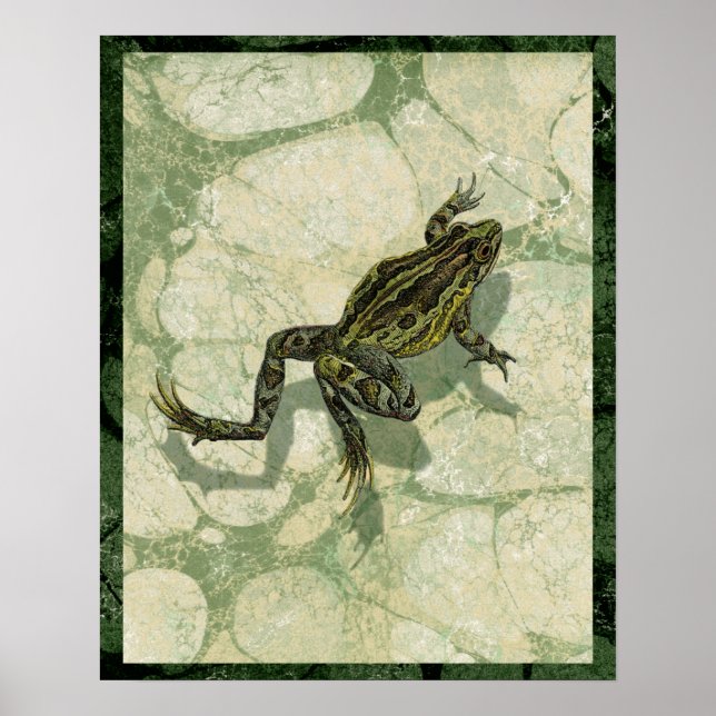 Toad Swinning im Wasser Poster (Vorne)