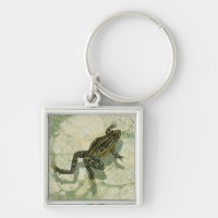 Toad Swinning im Wasser