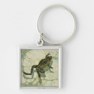 Toad Swinning im Wasser Schlüsselanhänger