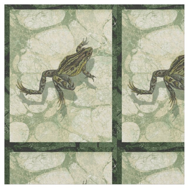 Toad Swinning im Wasser Stoff (Nahaufnahme)