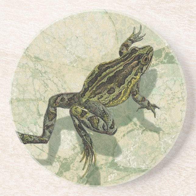 Toad Swinning im Wasser Untersetzer (Vorne)