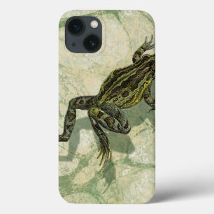 Toad Swinning in the Water Case-Mate iPhone Hülle