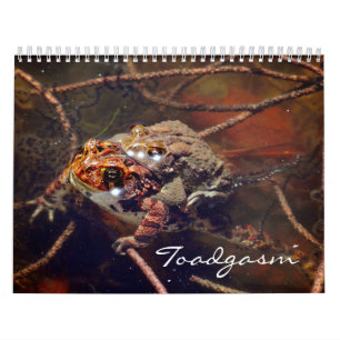 Toadgasmus Kalender