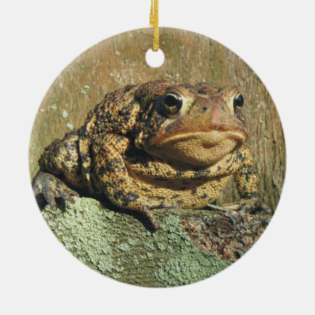 Toadly fantastische Kröten-Weihnachtsverzierung Keramik Ornament (Hinten)