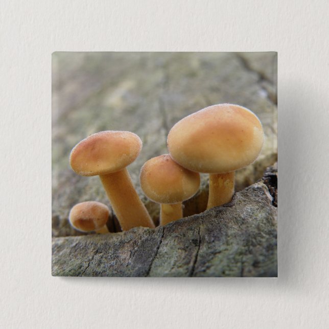 Toadstocker auf einem Baumstamm-Knopf Button (Vorderseite)