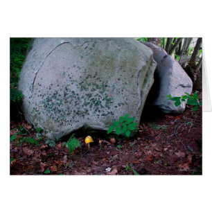 Toadstool Mimics Boulder
