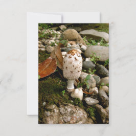 Toadstool, Moos und Steine Dankeskarte