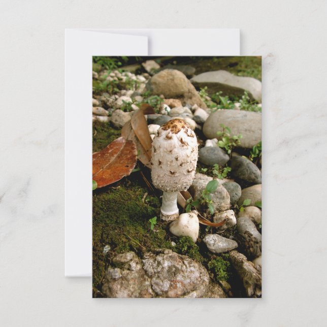 Toadstool, Moos und Steine Dankeskarte (Vorderseite)