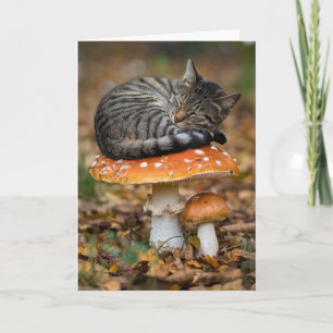 Toadstool Tabby Faltkarte Karte