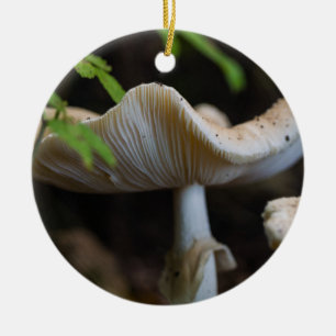 Toadstool Umbrella Keramik Ornament