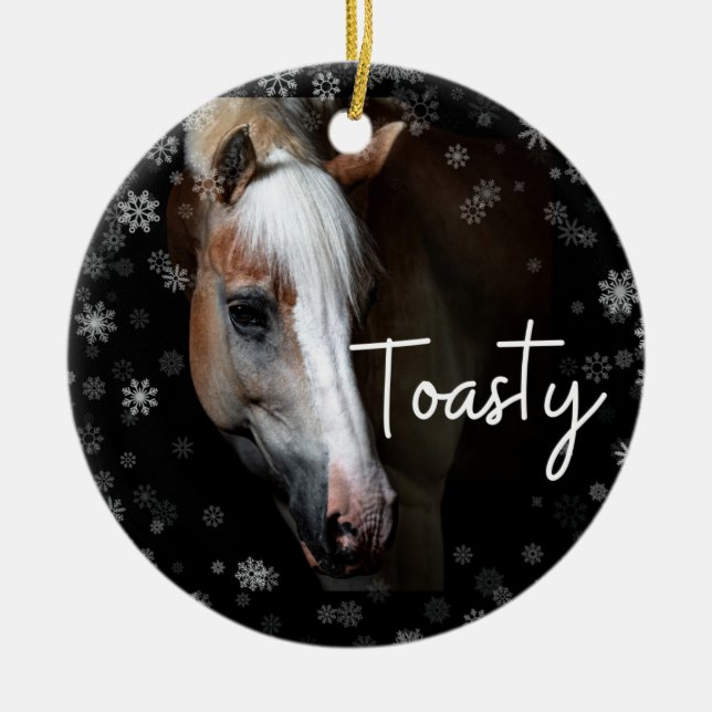 Toasty Ornament (Vorne)