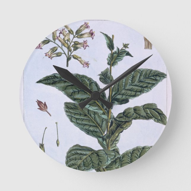 Tobacco Plant, Plattform 7, from 'Precieuse Collec Runde Wanduhr (Vorderseite)