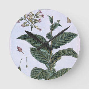 Tobacco Plant, Plattform 7, from 'Precieuse Collec Runde Wanduhr