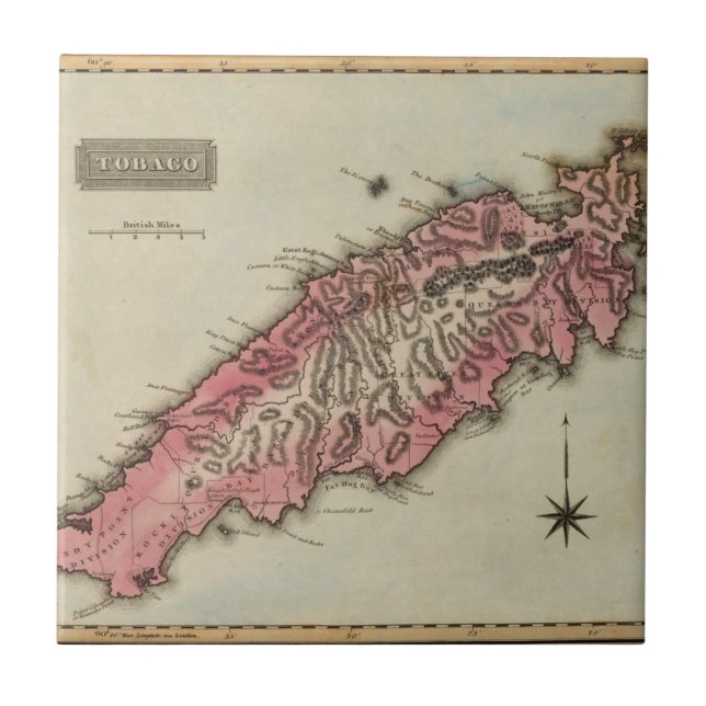 Tobago Fliese (Vorderseite)