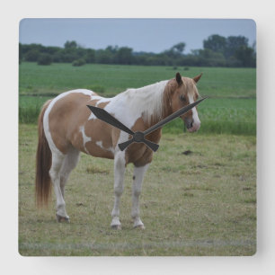 Tobiano Paint Horse Quadratische Wanduhr