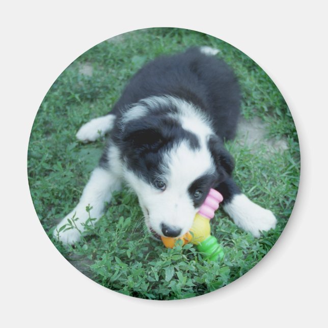 Toby3 Magnet (Vorne)
