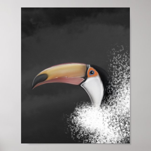 toco toco toucan (original hand zeichn) poster (Vorne)