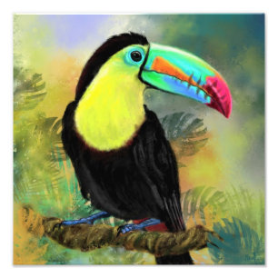 Toco Toucan Bird Wasserfarbe Malteposter drucken Fotodruck