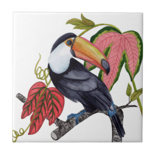 Toco Toucan Fliese