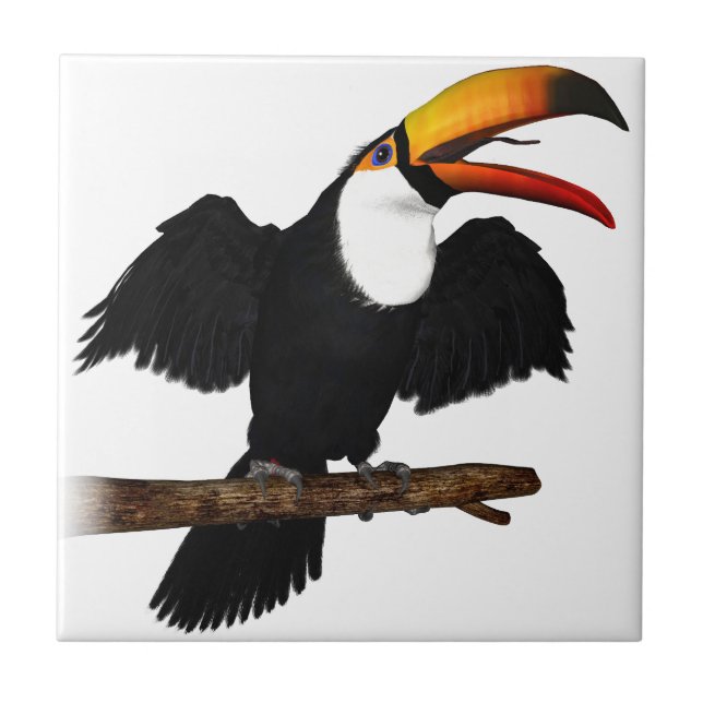 Toco Toucan Fliese (Vorderseite)