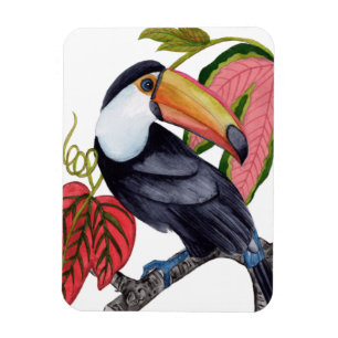 Toco Toucan Magnet