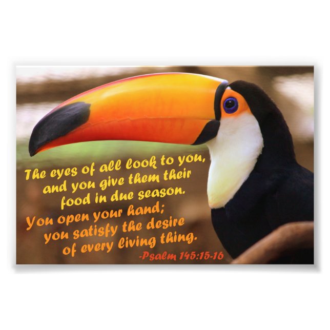 Toco Toucan mit Psalm 145:15-16 Fotodruck (Vorne)