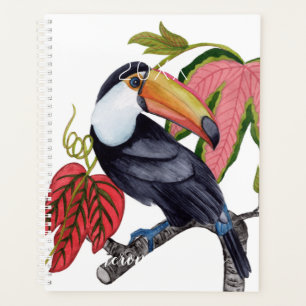 Toco Toucan Planer
