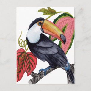 Toco Toucan Postkarte