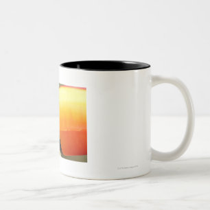 Toco Toucan (Ramphastos toco) ist das größte Zweifarbige Tasse