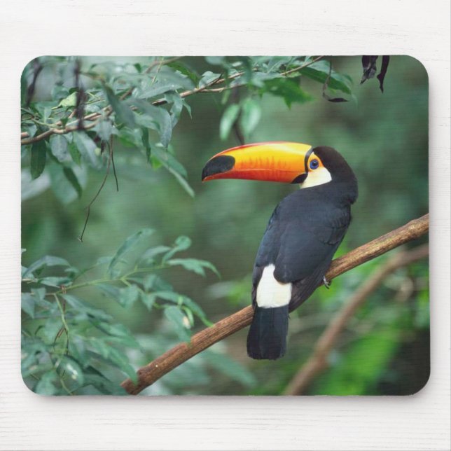Toco Toucan Vogel Mousepad (Vorne)