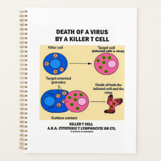 Tod eines Virus durch eine tödliche T-Zell-Immunol Planer