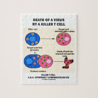 Tod eines Virus durch einen MörderT Cell Puzzle
