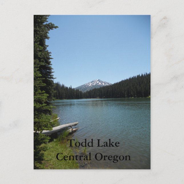 Todd Lake Central Oregon Postkarte (Vorderseite)