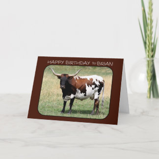 Todd Texas Longhorn Kuh Alles Gute zum Geburtstag Karte
