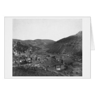 Todesholz aus Livingstons Hügelfotografie