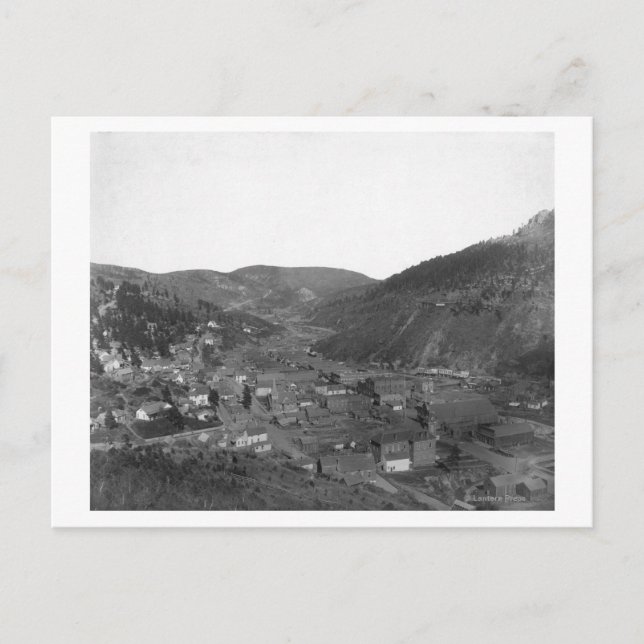 Todesholz aus Livingstons Hügelfotografie Postkarte (Vorderseite)