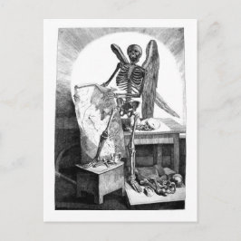 Todesstudien Mans Anatomie Postkarte