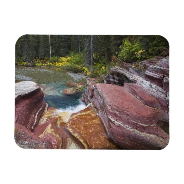 Todholzfallen auf Reynolds-Bucht im Herbst Magnet (Horizontal)