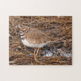 Tödliche Mudflats Puzzle