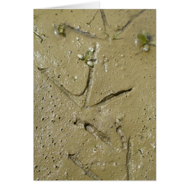 Tödliche Spuren (Vorne)