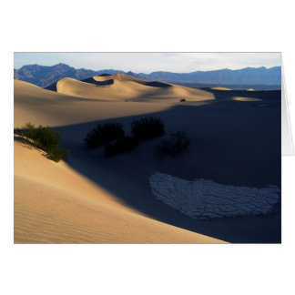 Todtal Morning Dunes Blank Card