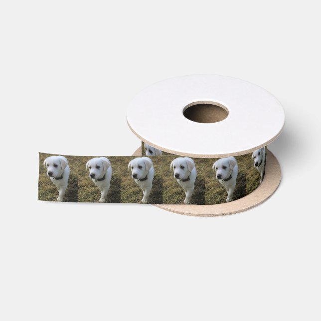Toffee Satinband (Spule)